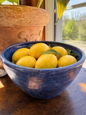 Signed Studio Pottery Bowl Blue Stoneware Hand Thrown 8” Rustic Artisan